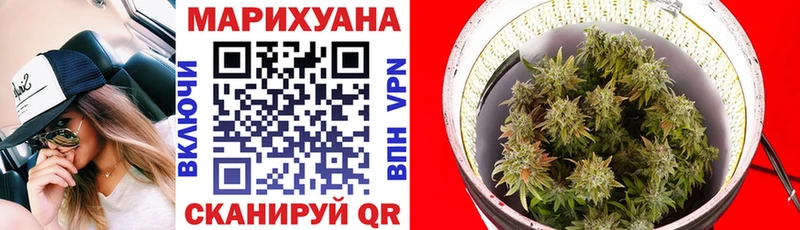 Канабис план Сосновка